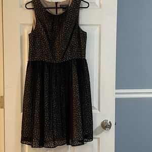 Jessica Howard Evenings Dress